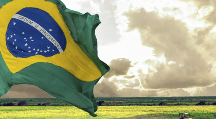 A verdade sobre a digitalização do campo