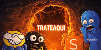 A Revolta dos Pequenos no E-commerce Brasileiro